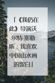《我仍在此》导演沃尔特·塞勒斯：我喜欢中国山水画的留白