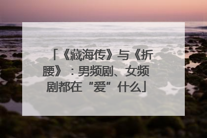 《藏海传》与《折腰》：男频剧、女频剧都在“爱”什么