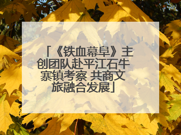 《铁血幕阜》主创团队赴平江石牛寨镇考察 共商文旅融合发展