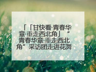「甘快看·青春华章·重走西北角」“青春华章·重走西北角”采访团走进花舞南山 探寻天水乡村振兴之路