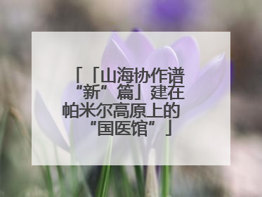 「山海协作谱“新”篇」建在帕米尔高原上的“国医馆”