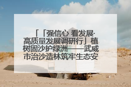 「强信心 看发展·高质量发展调研行」植树固沙护绿洲——武威市治沙造林筑牢生态安全屏障见闻