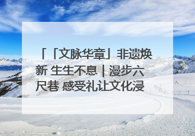 「文脉华章」非遗焕新 生生不息｜漫步六尺巷 感受礼让文化浸润的“巷”往生活