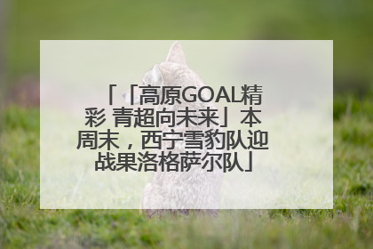 「高原GOAL精彩 青超向未来」本周末，西宁雪豹队迎战果洛格萨尔队