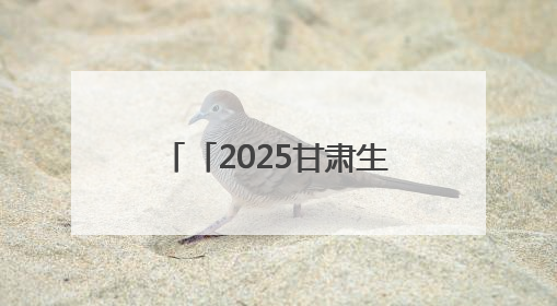 「2025甘肃生态环保行」一渠清水润绿洲：景电二期提质增效工程筑牢西部生态安全屏障