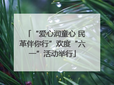 “爱心润童心 民革伴你行”欢度“六一”活动举行