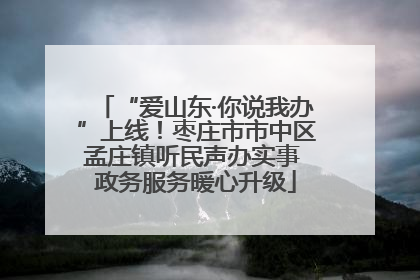 “爱山东·你说我办”上线！枣庄市市中区孟庄镇听民声办实事 政务服务暖心升级