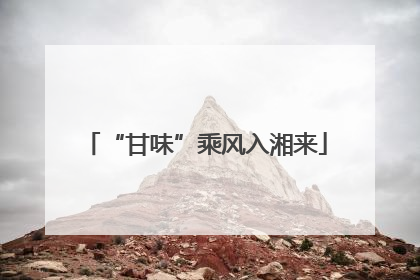 “甘味”乘风入湘来