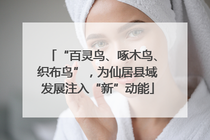 “百灵鸟、啄木鸟、织布鸟”，为仙居县域发展注入“新”动能