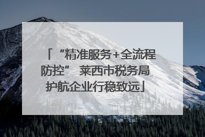 “精准服务+全流程防控” 莱西市税务局护航企业行稳致远