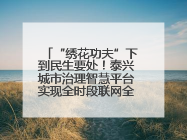 “绣花功夫”下到民生要处！泰兴城市治理智慧平台实现全时段联网全要素细治