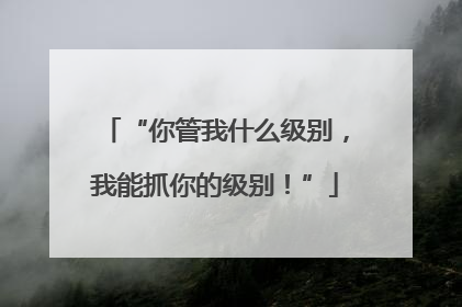 “你管我什么级别，我能抓你的级别！”