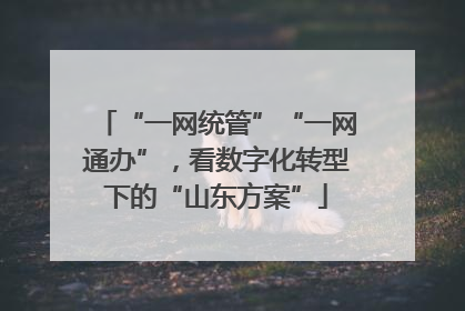 “一网统管”“一网通办”，看数字化转型下的“山东方案”