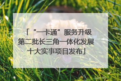 “一卡通”服务升级 第二批长三角一体化发展十大实事项目发布