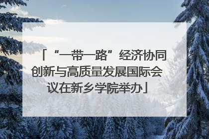 “一带一路”经济协同创新与高质量发展国际会议在新乡学院举办