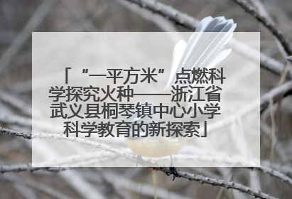 “一平方米”点燃科学探究火种——浙江省武义县桐琴镇中心小学科学教育的新探索