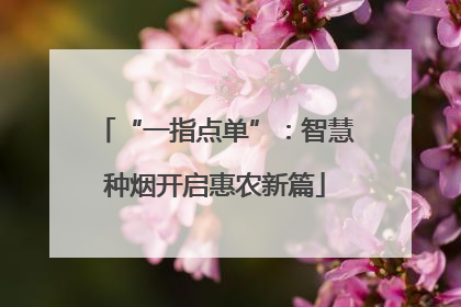 “一指点单”：智慧种烟开启惠农新篇