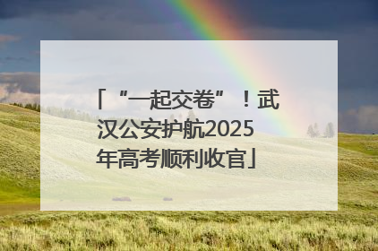 “一起交卷”！武汉公安护航2025年高考顺利收官