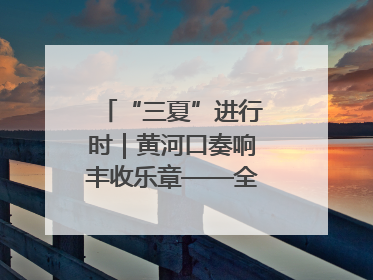 “三夏”进行时｜黄河口奏响丰收乐章——全市小麦进入大面积收获高峰期