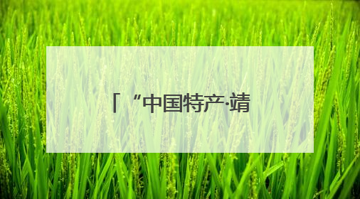 “中国特产·靖远馆”上线京东