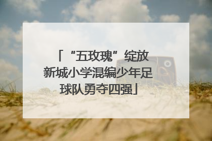 “五玫瑰”绽放 新城小学混编少年足球队勇夺四强
