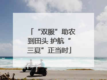 “双服”助农到田头 护航“三夏”正当时