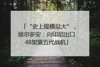 “史上规模最大”，埃尔多安：向印尼出口48架第五代战机