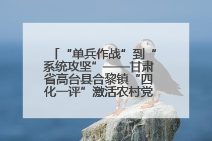 “单兵作战”到“系统攻坚”——甘肃省高台县合黎镇“四化一评”激活农村党员管理新引擎