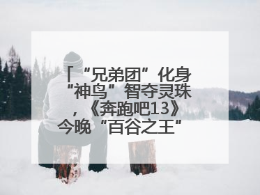 “兄弟团”化身“神鸟”智夺灵珠，《奔跑吧13》今晚“百谷之王”花落谁家？