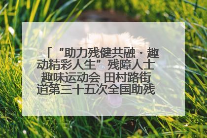 “助力残健共融・趣动精彩人生”残障人士趣味运动会 田村路街道第三十五次全国助残日主题活动圆满举办