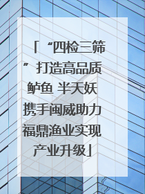 “四检三筛”打造高品质鲈鱼 半天妖携手闽威助力福鼎渔业实现产业升级
