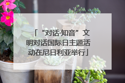 “对话·知音”文明对话国际日主题活动在尼日利亚举行