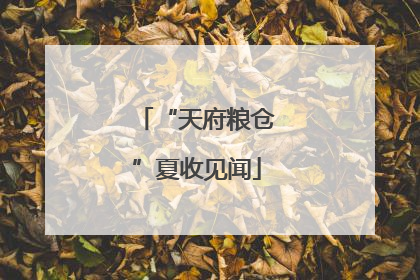 “天府粮仓”夏收见闻