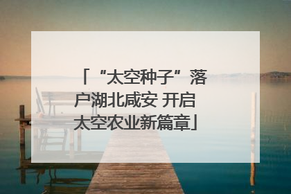 “太空种子”落户湖北咸安 开启太空农业新篇章
