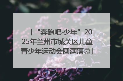 “奔跑吧·少年”2025年兰州市城关区儿童青少年运动会圆满落幕