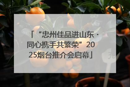 “忠州佳品进山东・同心携手共繁荣”2025烟台推介会启幕