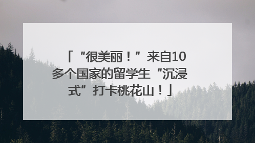 “很美丽！”来自10多个国家的留学生“沉浸式”打卡桃花山！