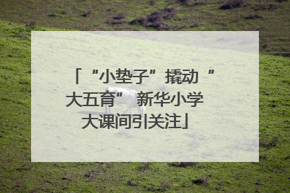 “小垫子”撬动“大五育” 新华小学大课间引关注