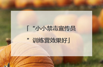 “小小禁毒宣传员”训练营效果好