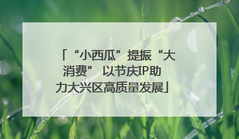 “小西瓜”提振“大消费” 以节庆IP助力大兴区高质量发展
