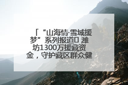 “山海情·雪域援梦”系列报道⑪ 潍坊1300万援藏资金，守护藏区群众健康“最后一公里”