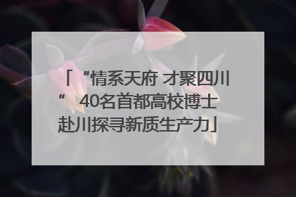 “情系天府 才聚四川” 40名首都高校博士赴川探寻新质生产力