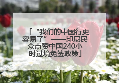 “我们的中国行更容易了”——印尼民众点赞中国240小时过境免签政策