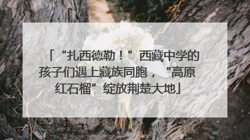 “扎西德勒！”西藏中学的孩子们遇上藏族同胞，“高原红石榴”绽放荆楚大地
