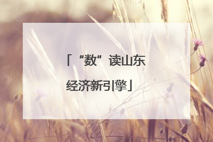 “数”读山东经济新引擎