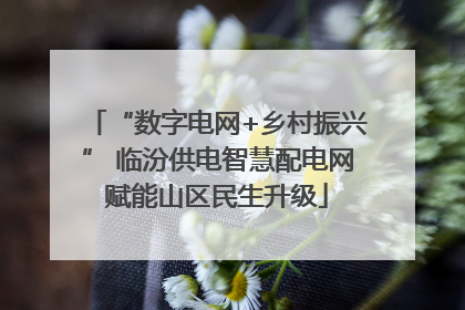 “数字电网+乡村振兴” 临汾供电智慧配电网赋能山区民生升级
