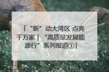 “新”动大湾区 点亮千万家｜“高质量发展能源行”系列报道③