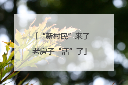 “新村民”来了 老房子“活”了
