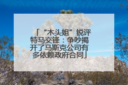 “木头姐”锐评特马交锋：争吵揭开了马斯克公司有多依赖政府合同