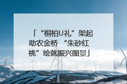 “桐柏U礼”架起助农金桥 “朱砂红桃”绘就振兴图景